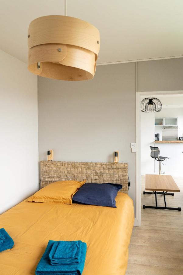 F2 Hypercentre Clermont Ferrand Apartment Ngoại thất bức ảnh